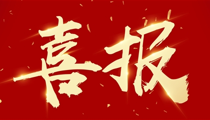 喜訊┃集團(tuán)黨委書記、董事長向誠榮獲市委表彰