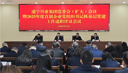 遂寧興業(yè)集團(tuán)召開(kāi)黨委會(huì)（擴(kuò)大）會(huì)議暨2025年度直屬企業(yè)黨組織書(shū)記抓基層黨建工作述職評(píng)議會(huì)議